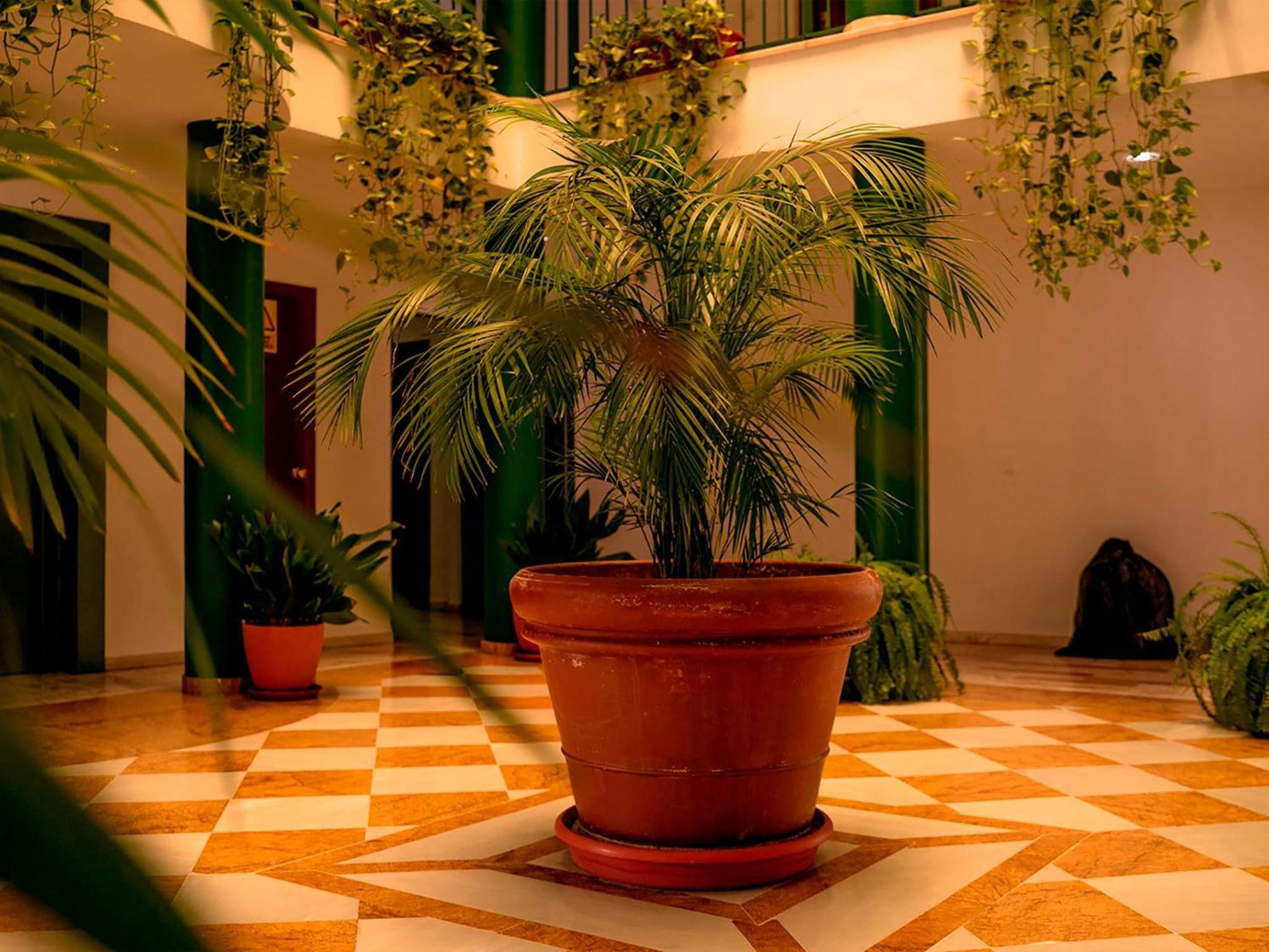 Apartamentos Vertice Bib Rambla Sevilla Exterior foto